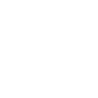 Accountant