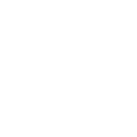 Auditor