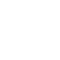 Curriculum Developer