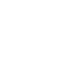 Digital Animation Artist