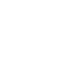 Foreign Service Officer