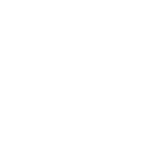 Game Designer