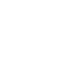 Geographer