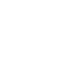 Journalist