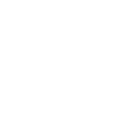 Lawyer