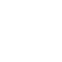 Management Consultant