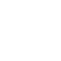 Museum Curator