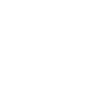Systems Analyst